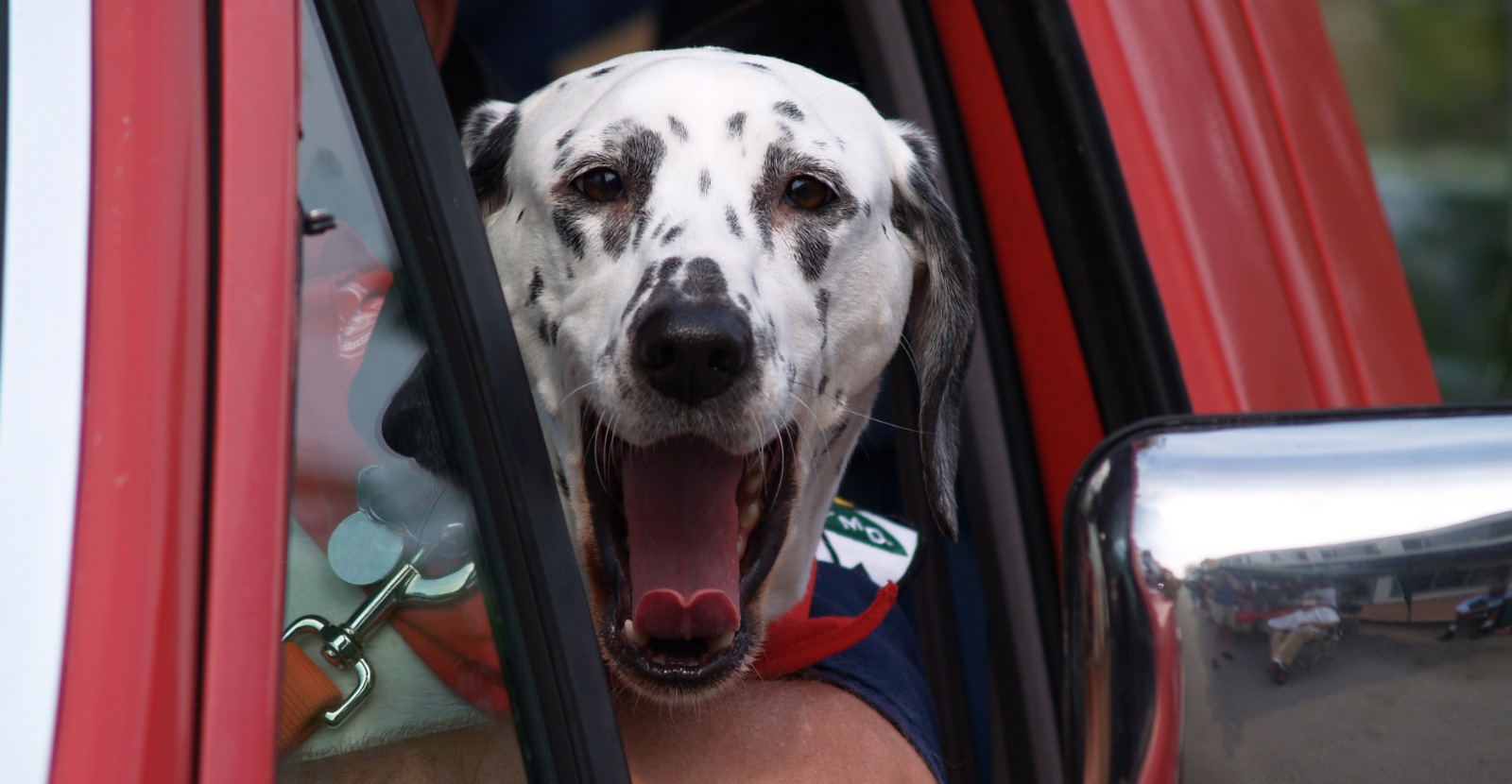 plush dalmatian fire dog